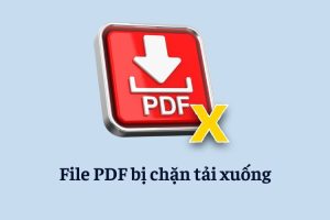 5 Cách tải file PDF trên Google Drive bị chặn tải xuống