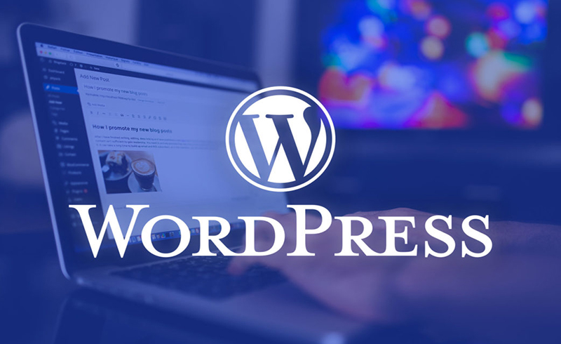 Wordpress là gì? 5 lợi ích khi bắt đầu một website với WordPress?